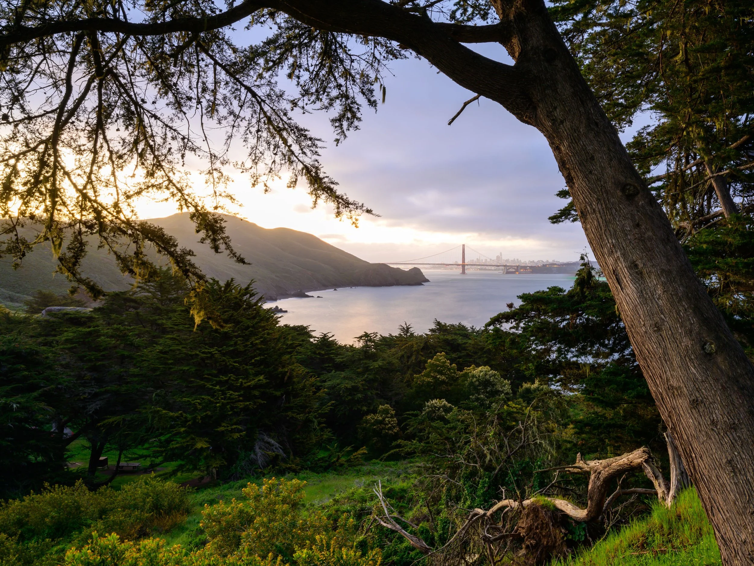 Framed by the Cypress