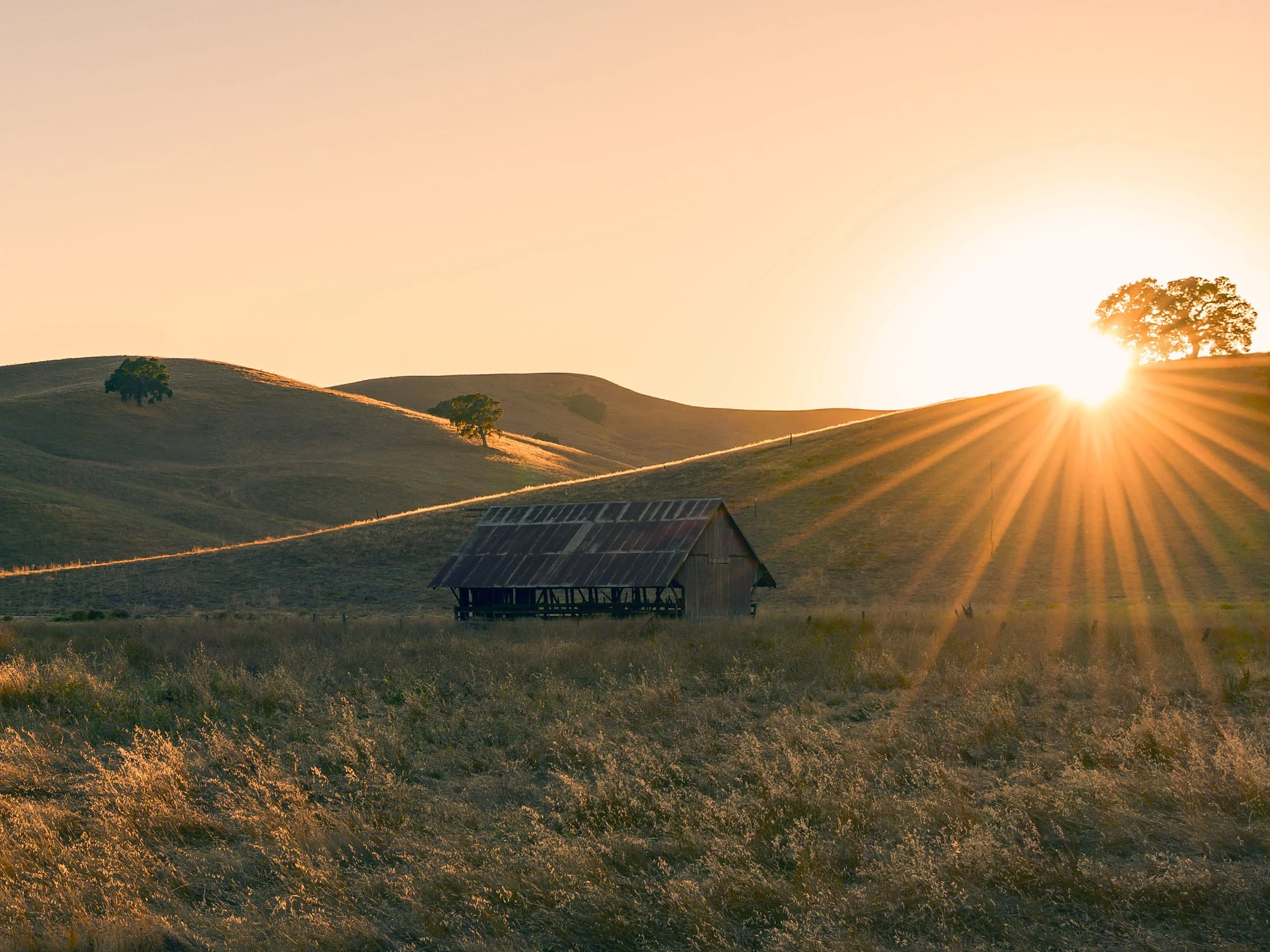 Last Light on the Old Barn
