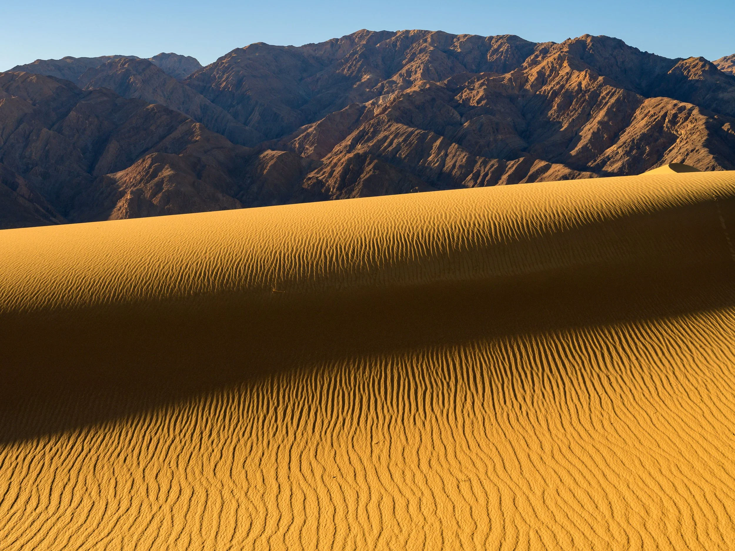 Shadow Across the Dunes