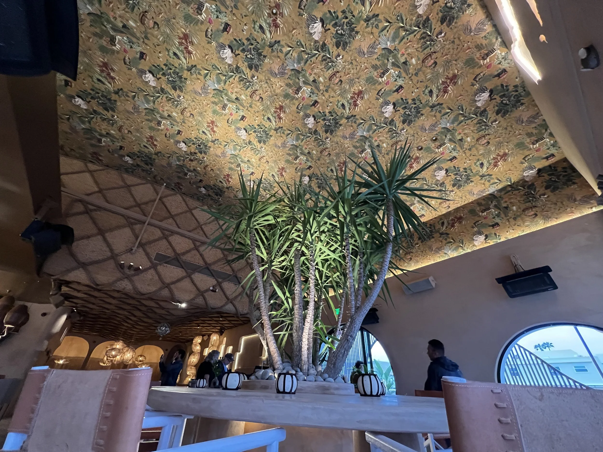 Interior of a stylish restaurant or cafe with a large indoor plant, wooden tables, and decorative hanging lights. The ceiling features floral wallpaper with a yellow background.
