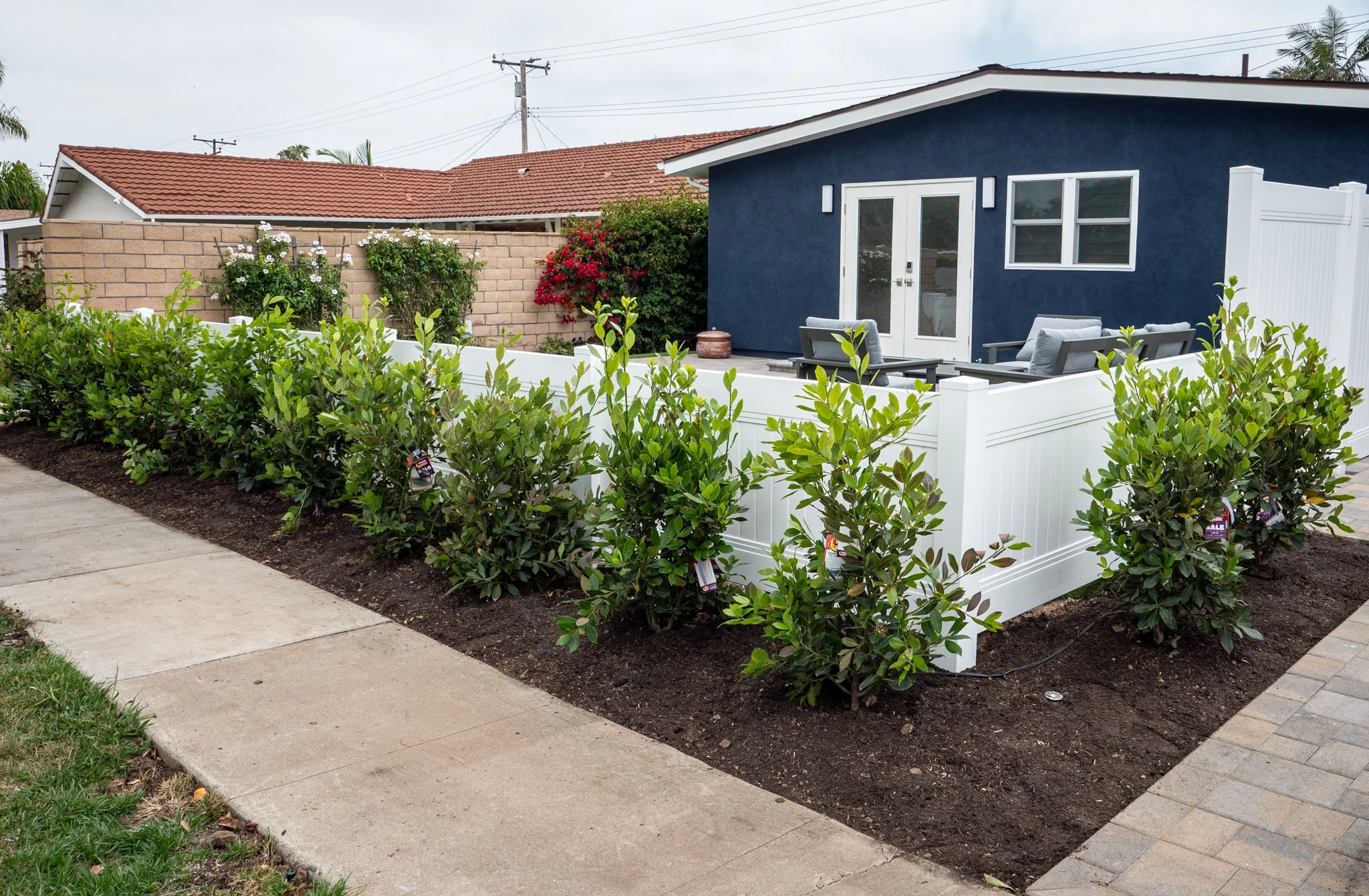 A backyard with a white fence, green bushes along the sidewalk, and a blue house with a patio and outdoor furniture.