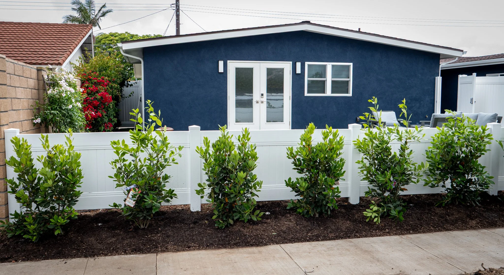A backyard with a blue house, a white fence, green shrubs in the foreground, flowering plants on the side, and a patio with outdoor seating.