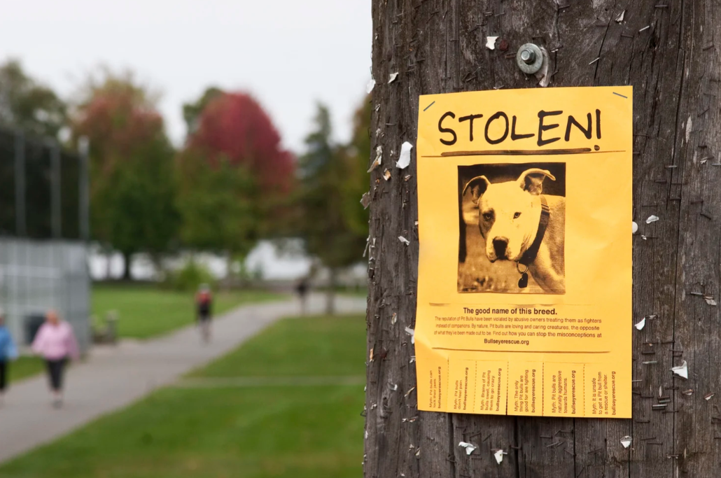 Screenshot 2026-03-27 094602.png