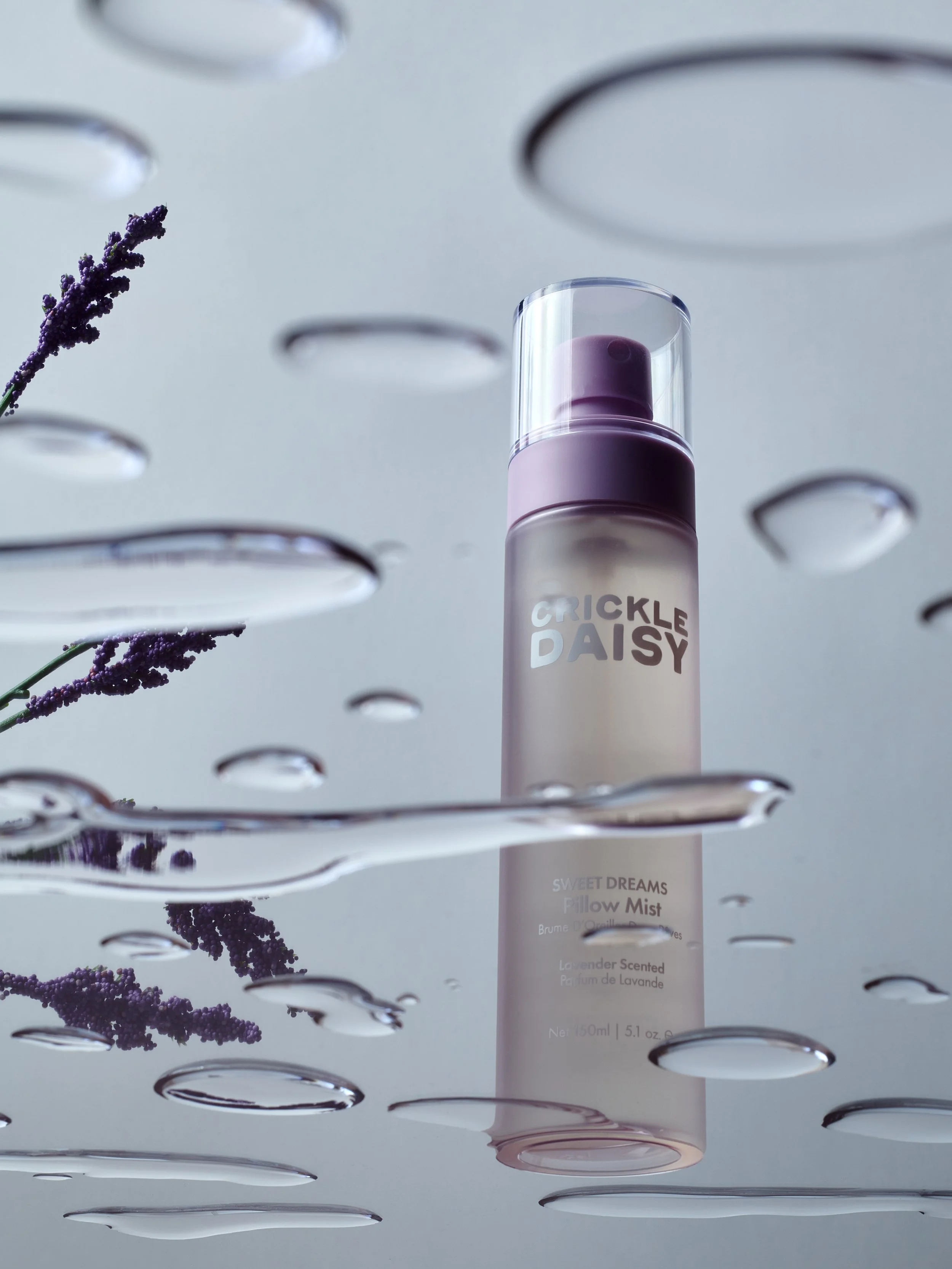 Crickle_Daisy0822 copy 2.jpg