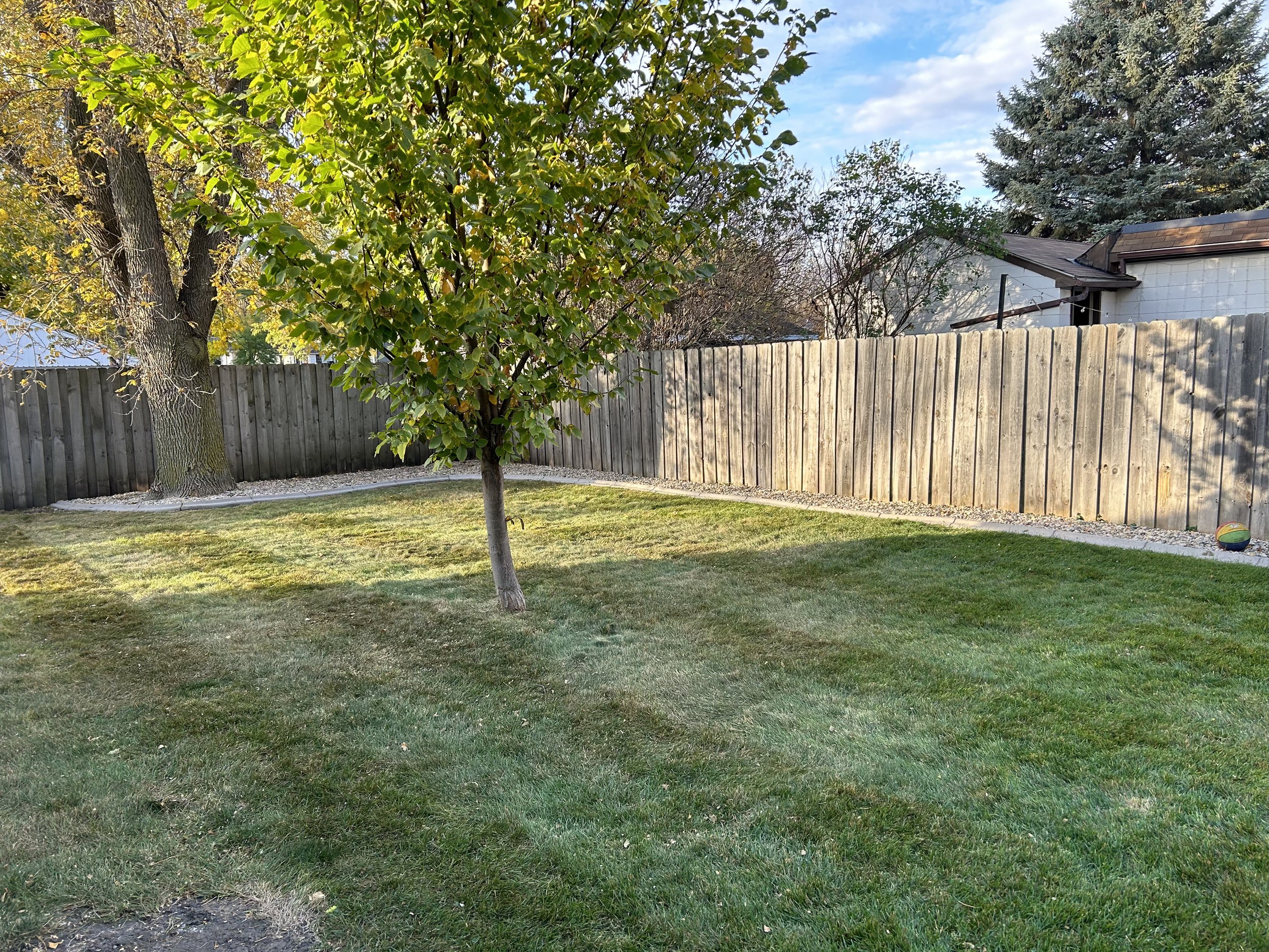 Lawn cleanup services in Watertown, SD with leaves removed, leaving a clean and healthy yard ready for the season.
