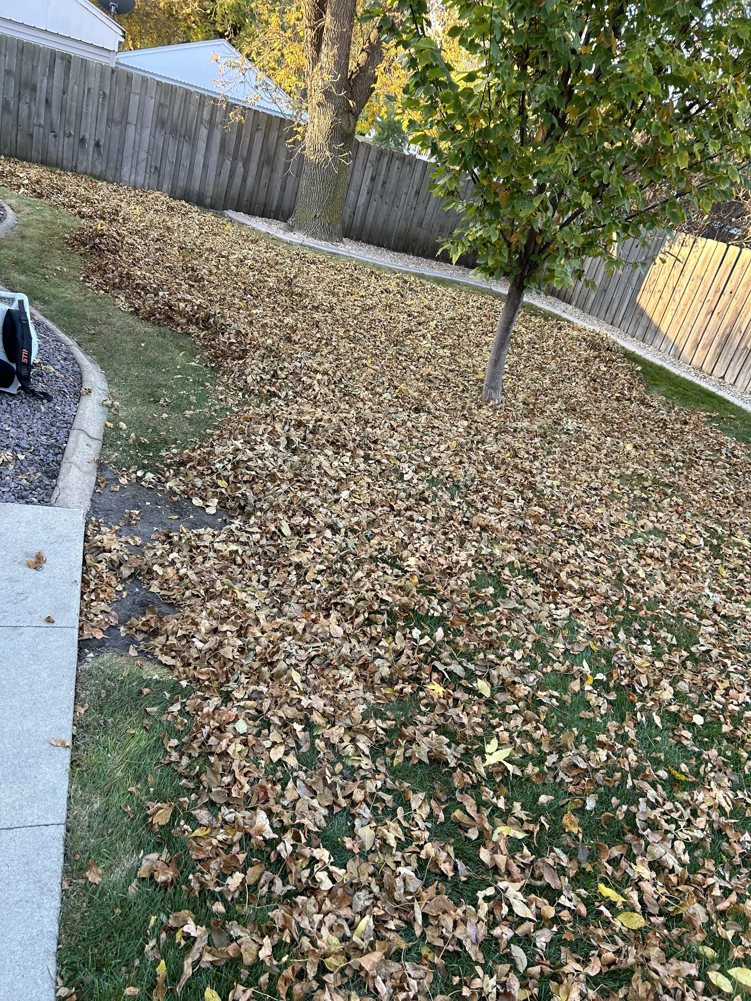 Fall lawn cleanup in Watertown, SD showing heavy leaf coverage before professional leaf removal services.