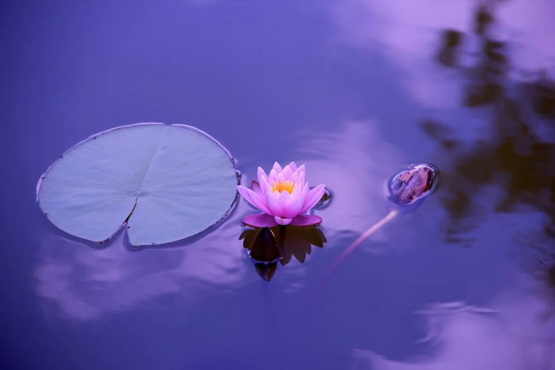 Is Therapy a Betrayal? Rethinking Loyalty in South Asian Families
