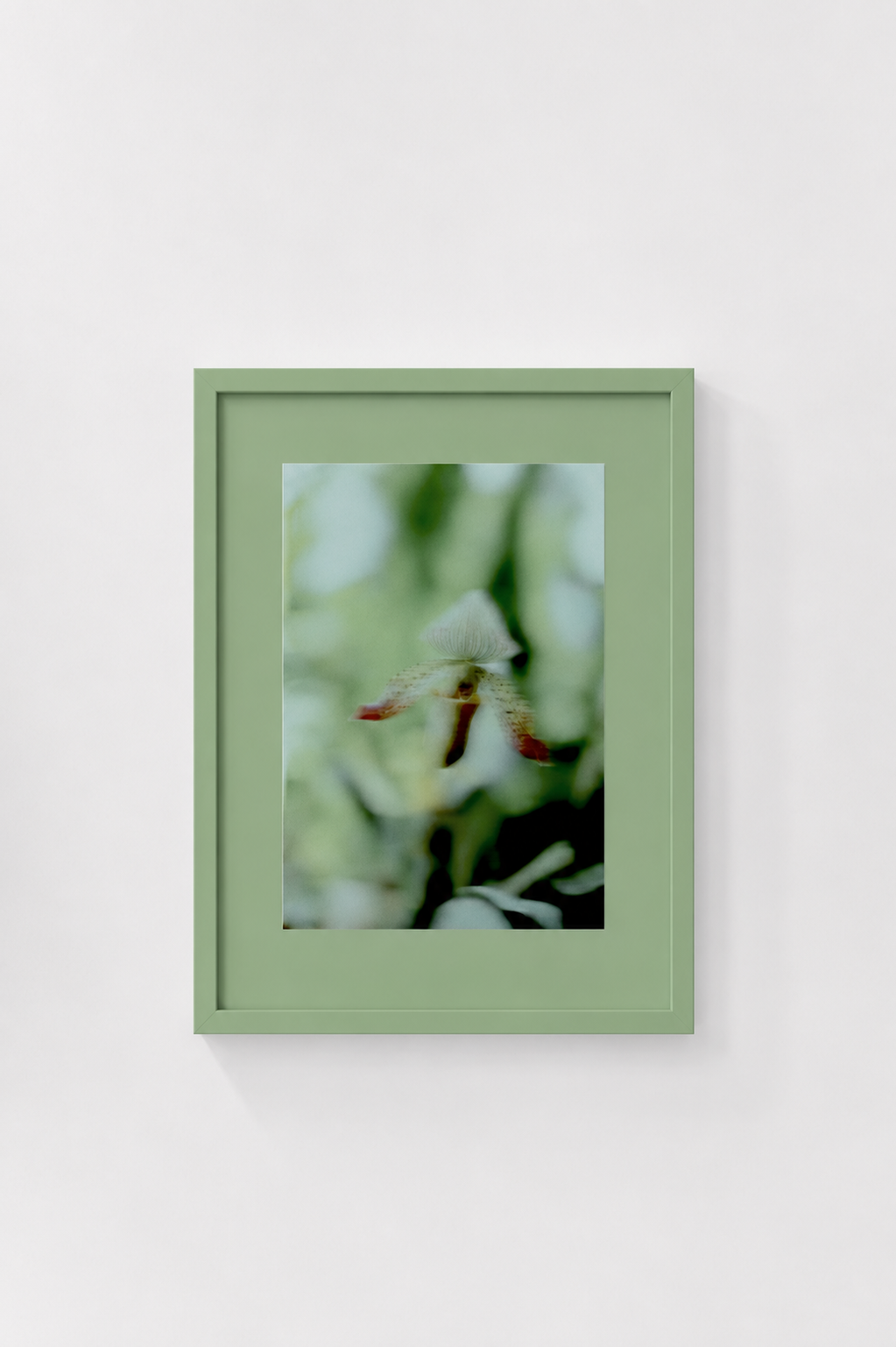 Orchid by Anna Hooij - Mock Up.png