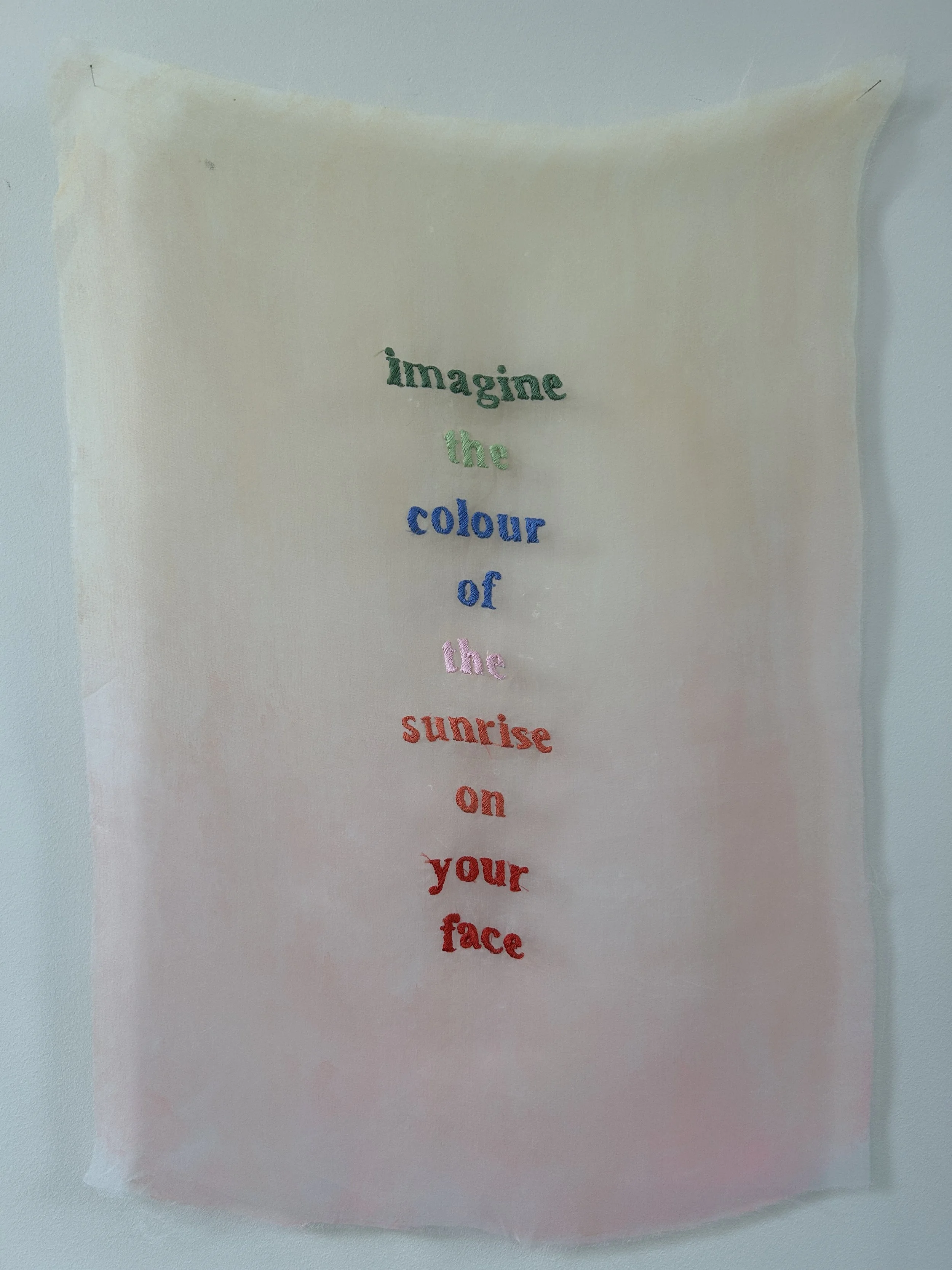 Imagine_2026_embroidery_cotton, silk, watercolour_42x58.cm_$750.JPG