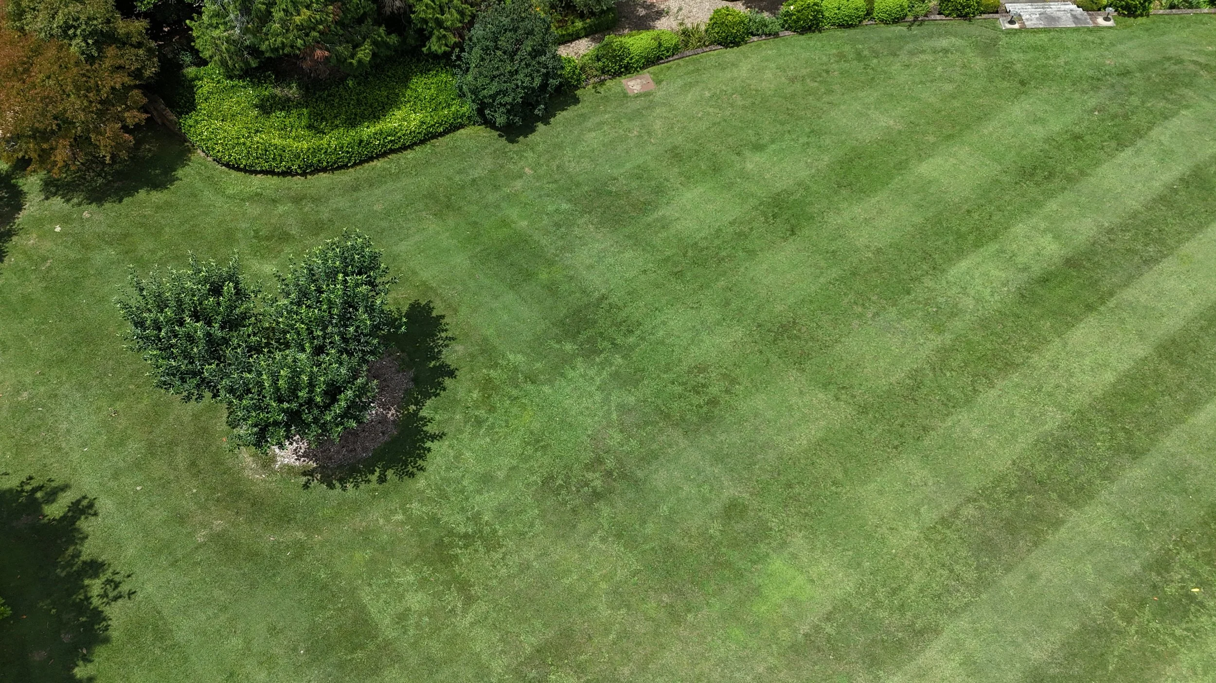 DJI_20240123124650_0005_D.JPG