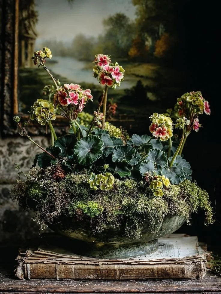 A potted arrangement of pink and cream begonias with large green leaves, sitting on top of an old book. The background features a landscape painting of a river and trees.