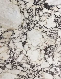 Close-up of a marble surface with white and black veining.