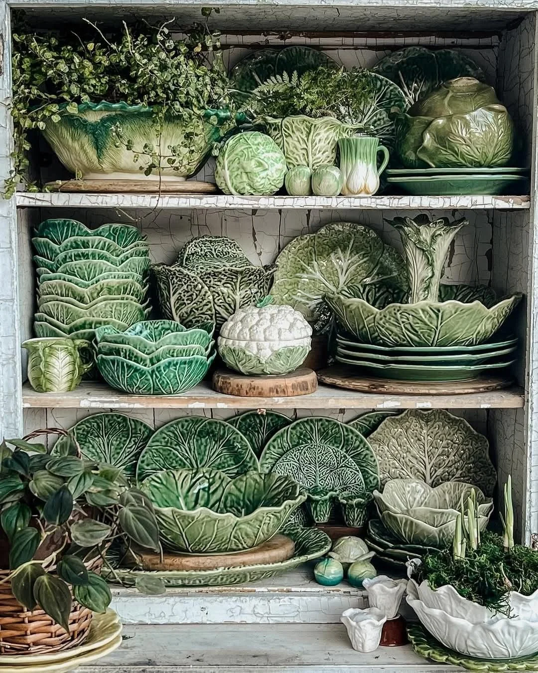 Display of ceramic plant and vegetable-shaped bowls, plates, and vases on shelves in various shades of green and white.