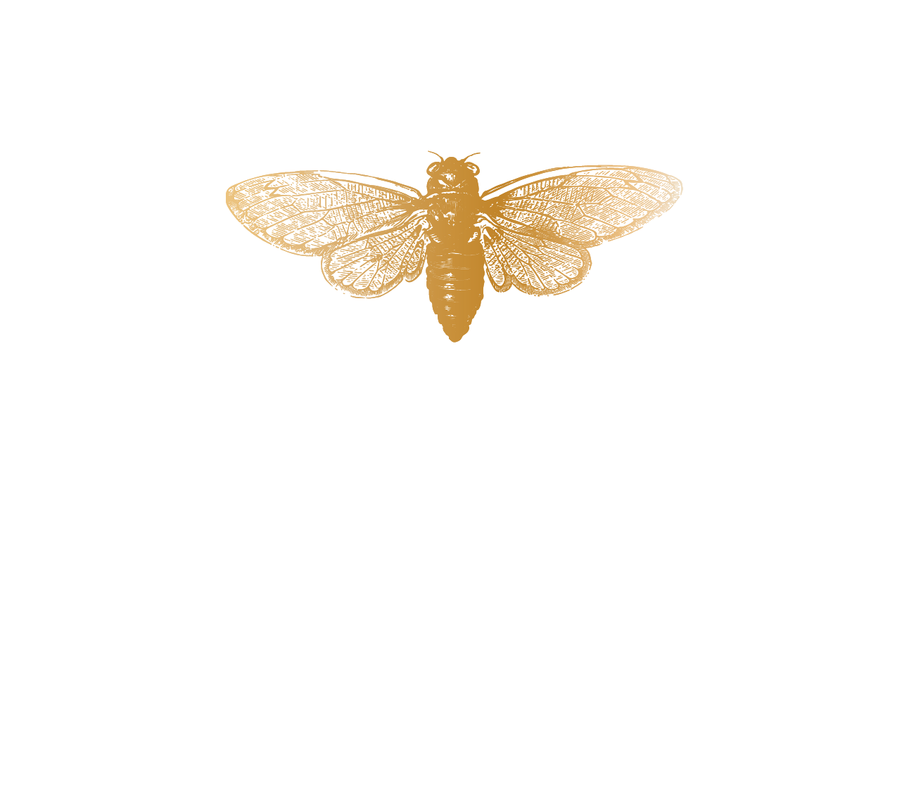 Cicada House Interiors