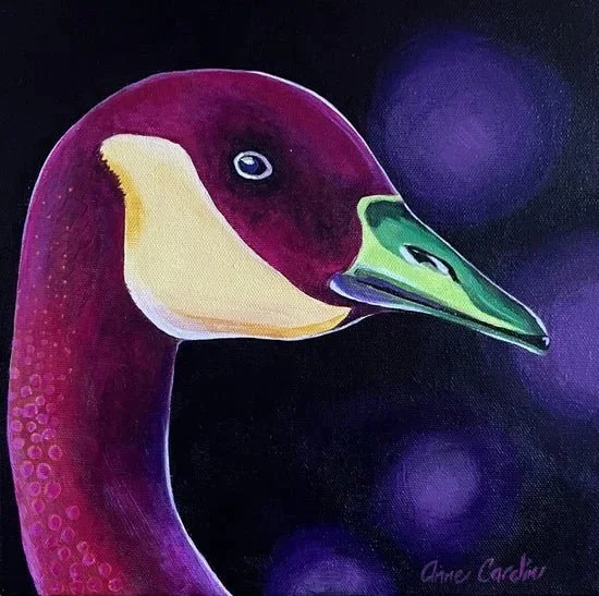 Bernache à taches - 10 by 10