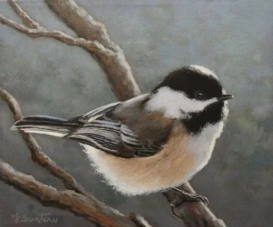 Petit oiseau curieux - 10 by 12