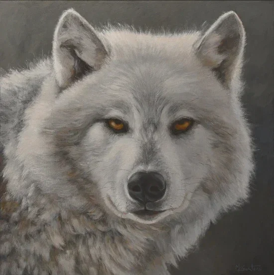 Regard intense - 24 by 24