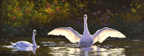 Cygne de vie - 24 by 60