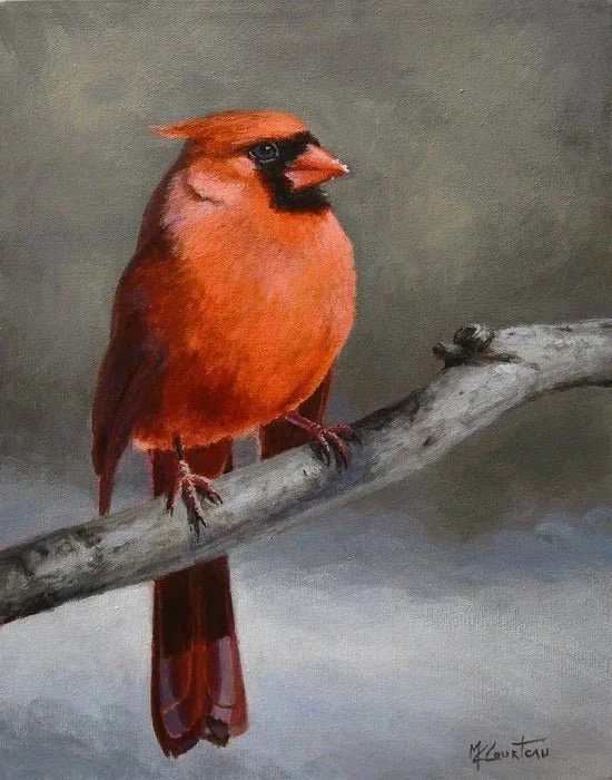 Monsieur Cardinal - 14 by 11