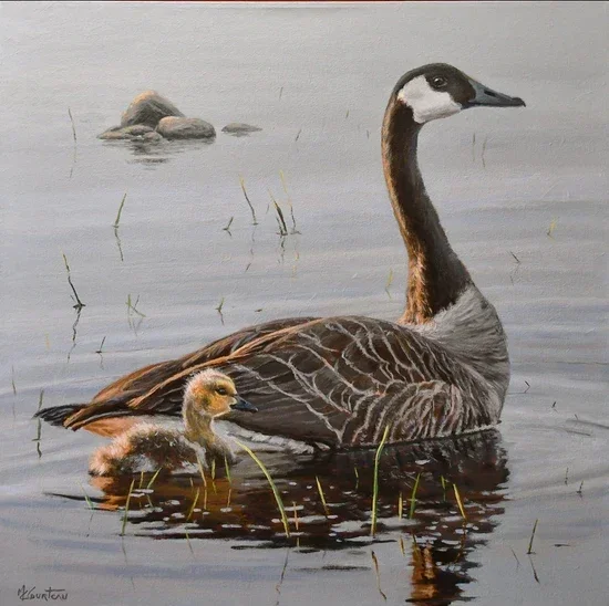 ballade avec maman - 24 by 24