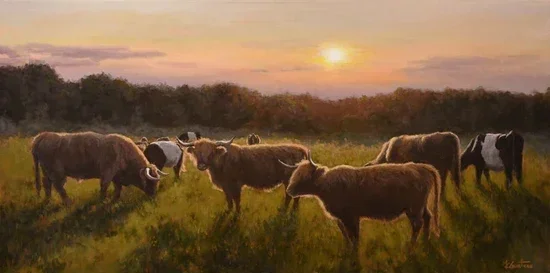 Highland et Galloway - 20 by 40
