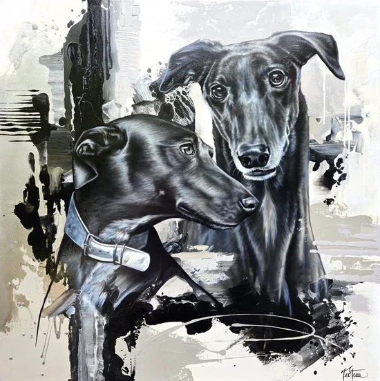 Canin - 36 by 36