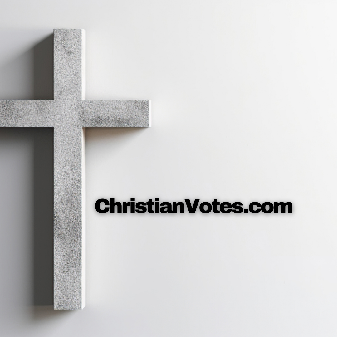 Bold Italic Multipurpse Typography Logo Design Brand Identity Clean Comic Style for Design Company - 8.png