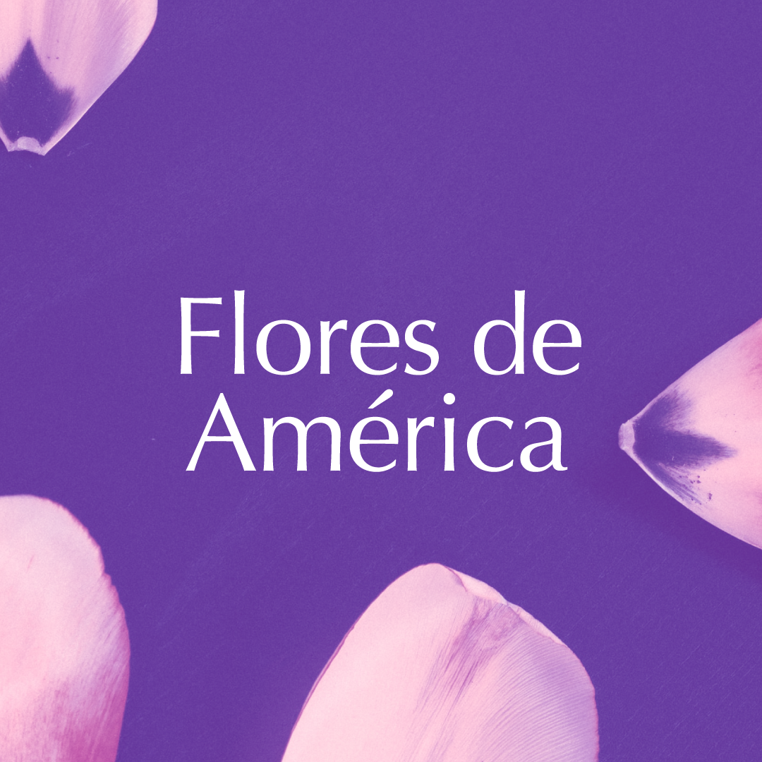 Flores de América