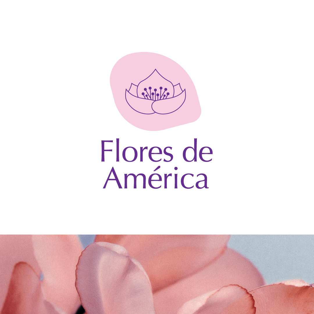595241a4-5792-4e0c-a08d-c16e673aa487_rw_1200.png