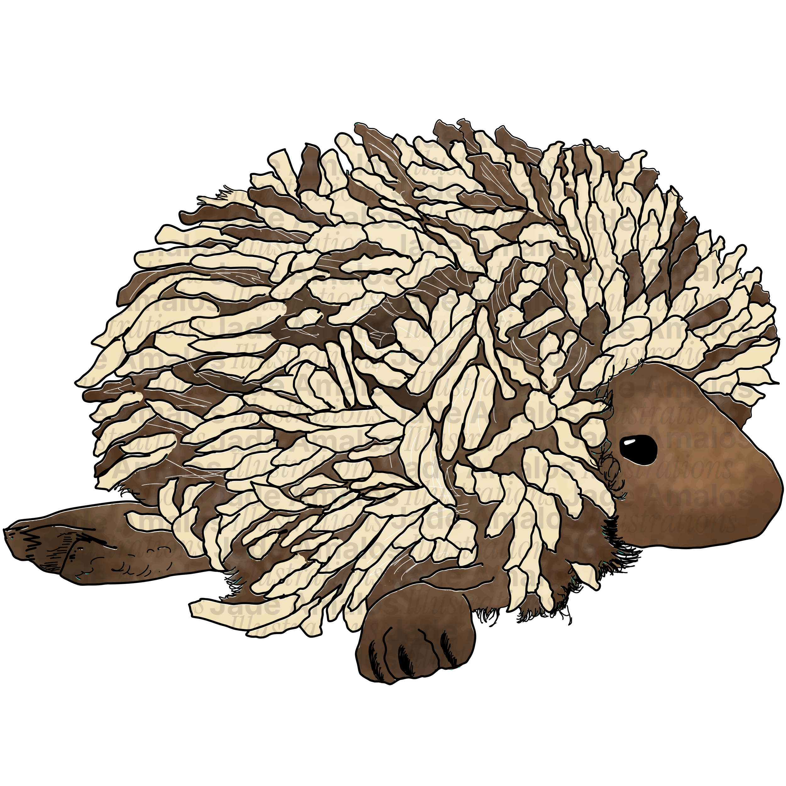 Felt toy echidna character illustration for Tara Treasures