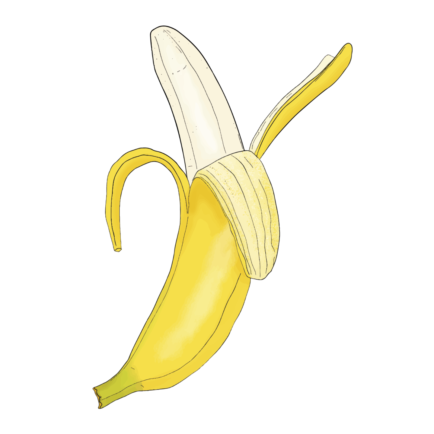 A partially peeled banana.