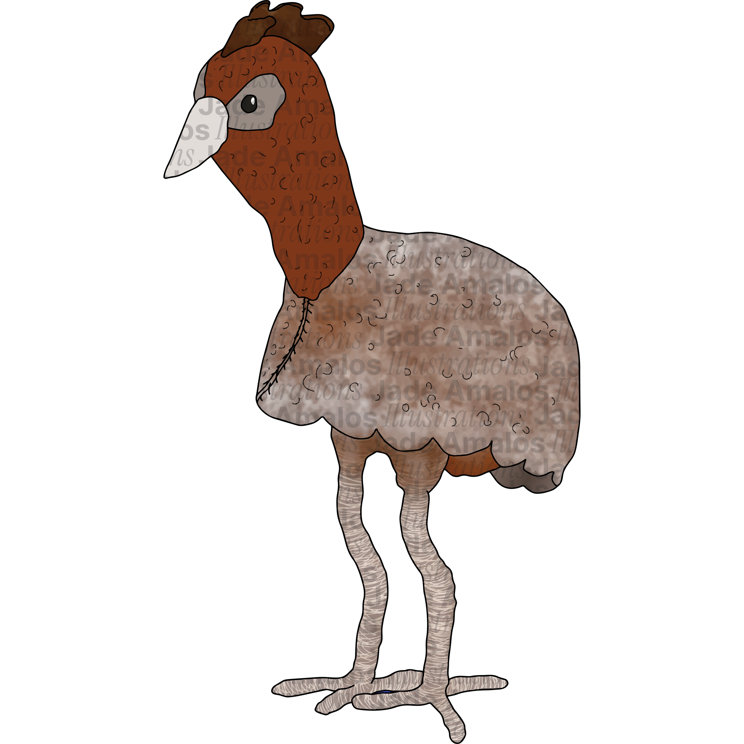 Felt toy emu character illustration for Tara Treasures