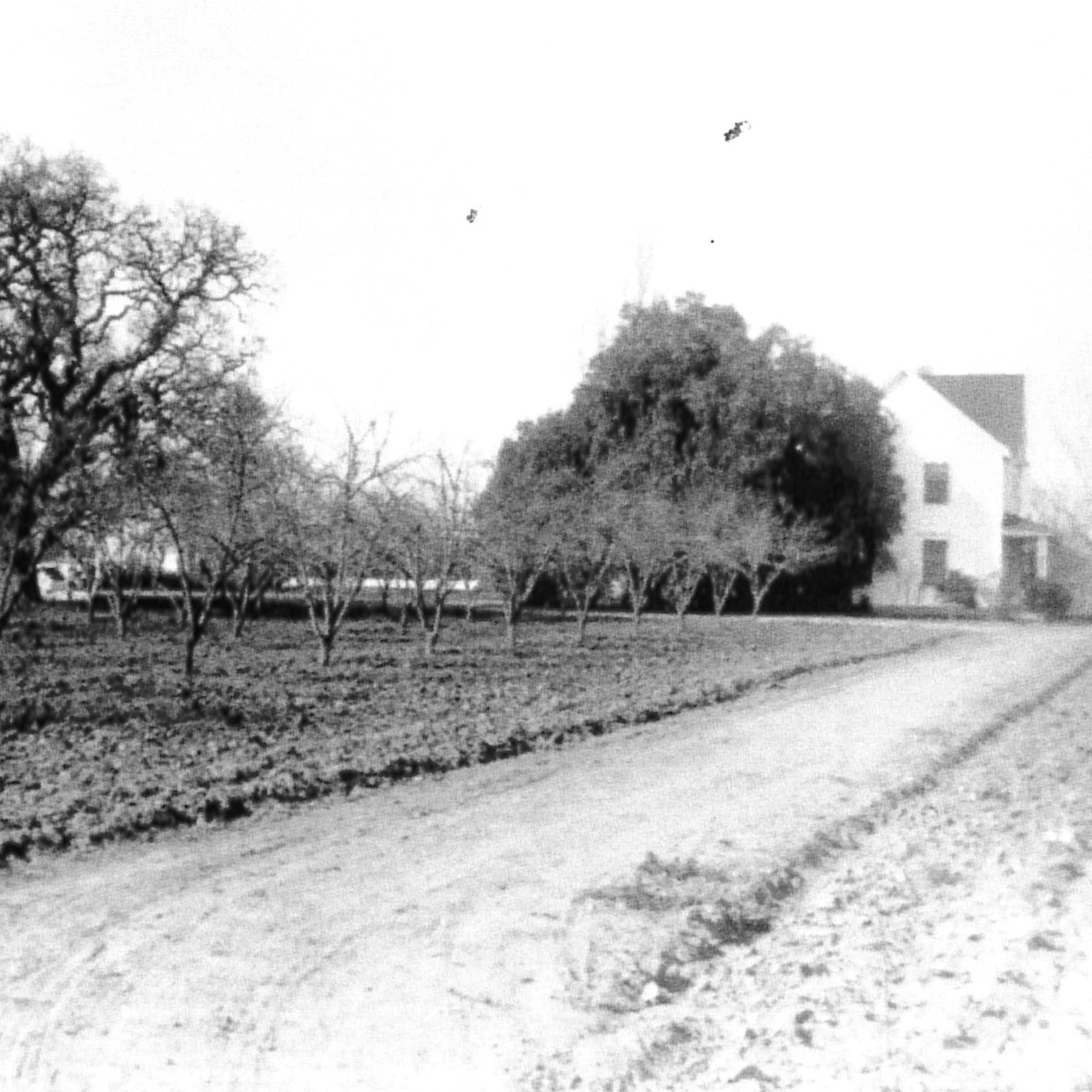  Benjamin T. Bubb’s ranch near what today is the intersection of Miramonte Ave. and Cuesta Drive. 