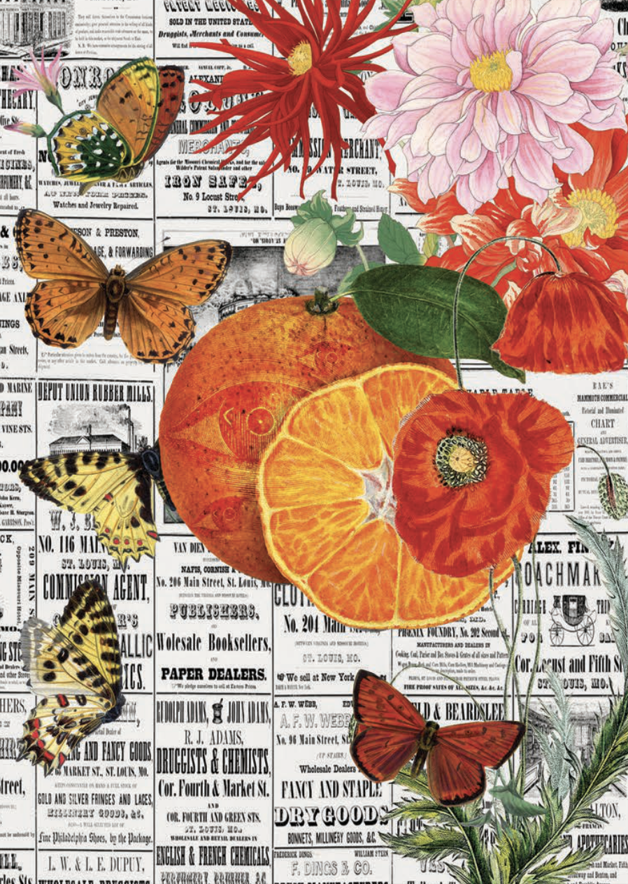 Screenshot 2025-11-27 at 11.20.40 PM.png