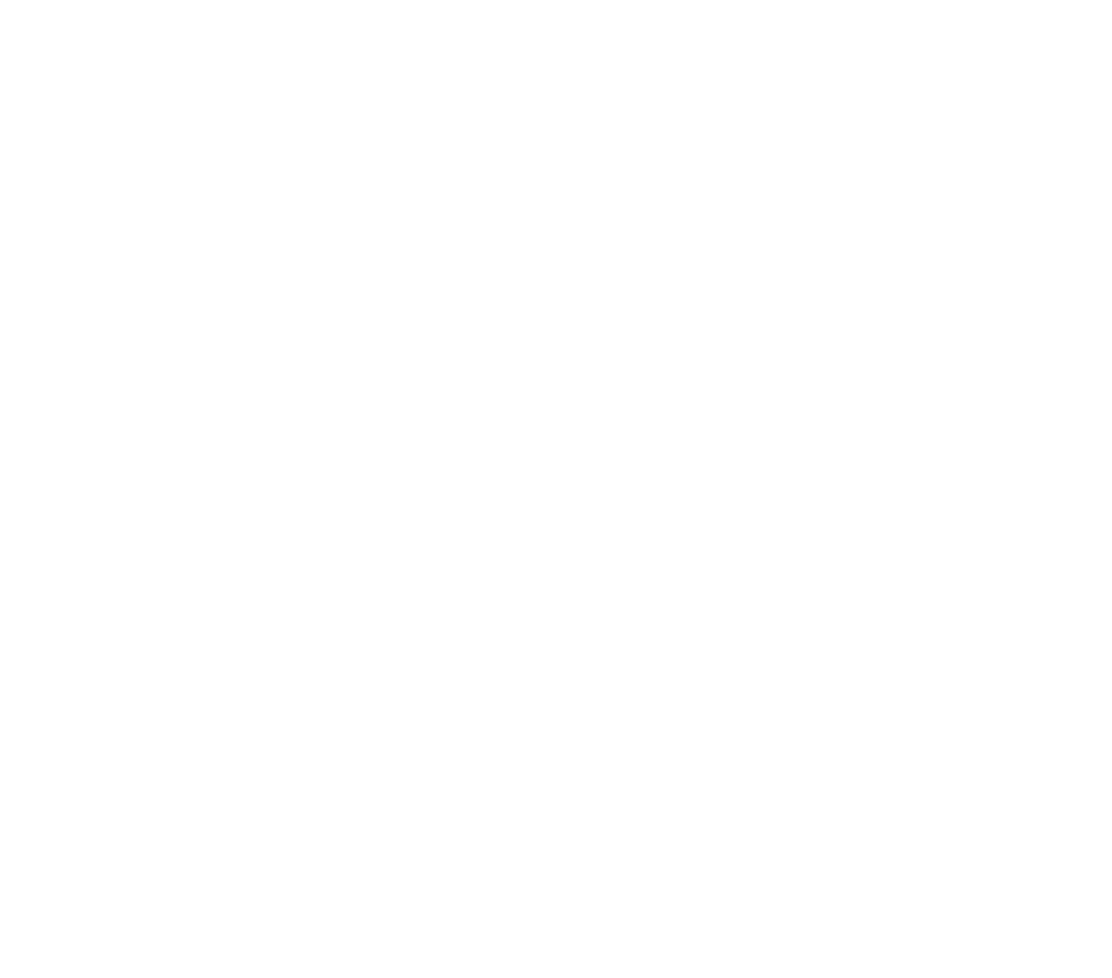 Empowering Futures Care Support Services Angel Wings Icon