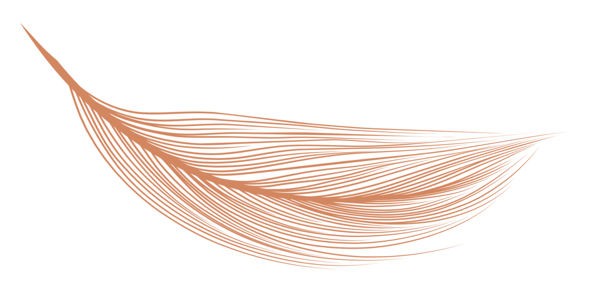 Empowering Futures Care Support Services - Angel Wings Feather