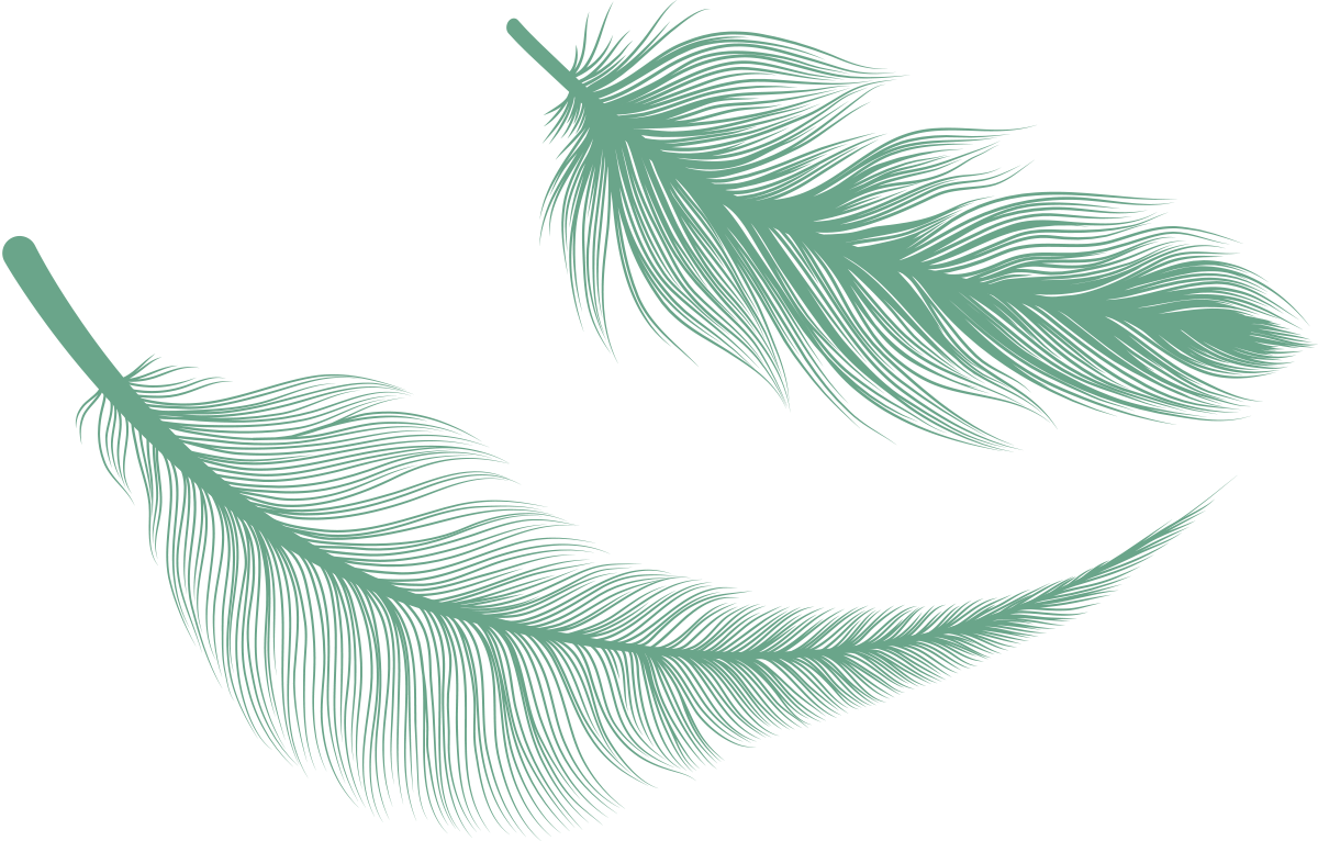 Empowering Futures Care Support Services - Angel Wings Feathers