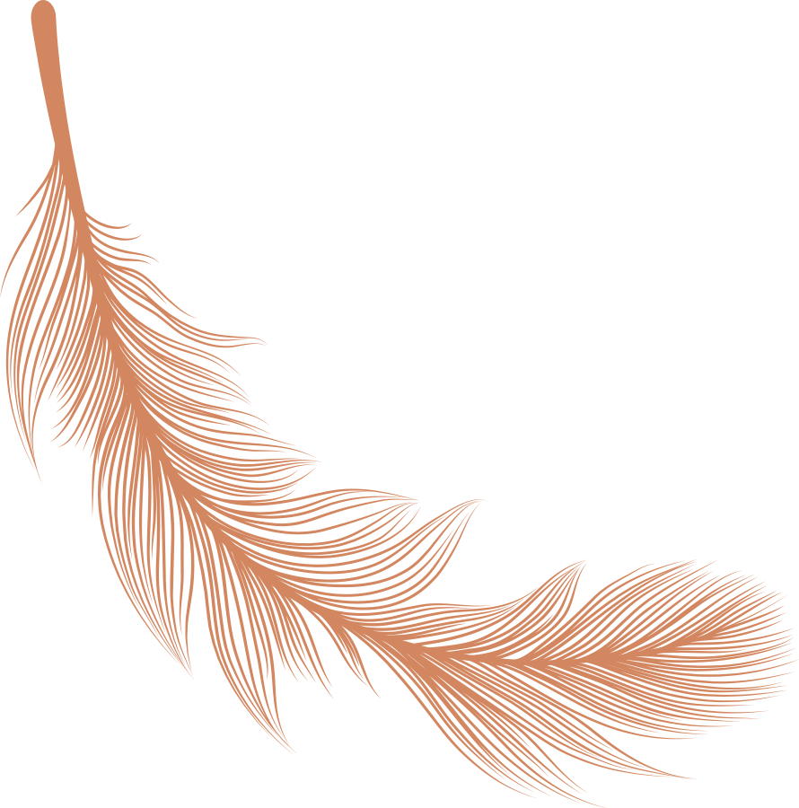 Illustration of a brown feather with detailed lines on a black background.