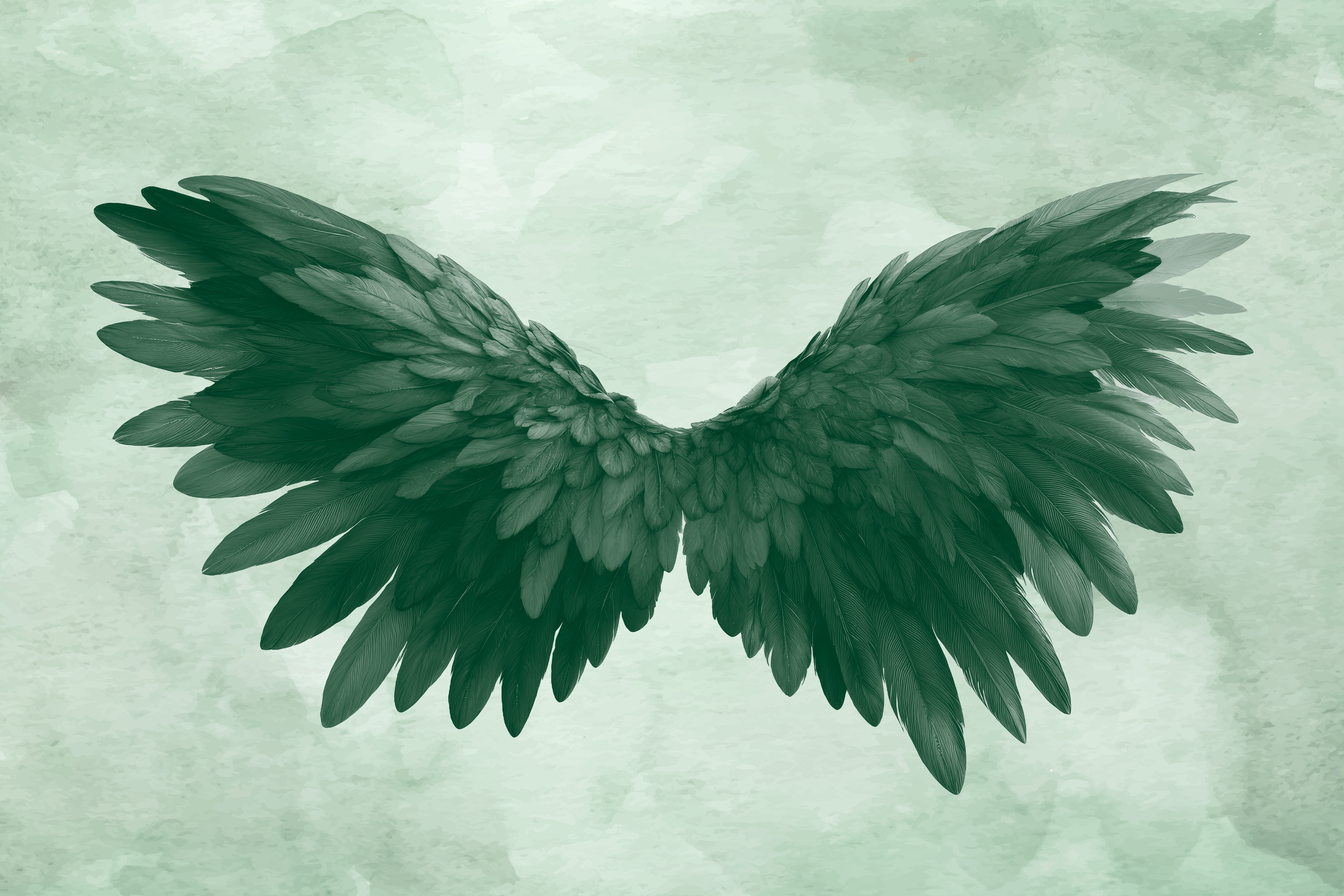 Angel Wings are the brand motif of Empowering Futures Care Support Services