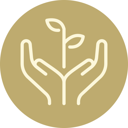 mpowering Futures Care Support Services - Programs