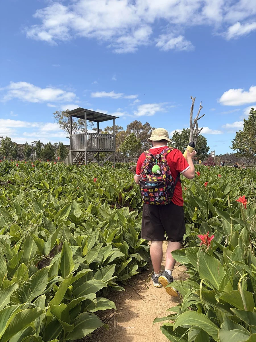 Person walking on a dirt path through tall green plants with pink flowers, carrying pruning shears and wearing a backpack, with a wooden observation tower and trees in the background under a partly cloudy blue sky.
