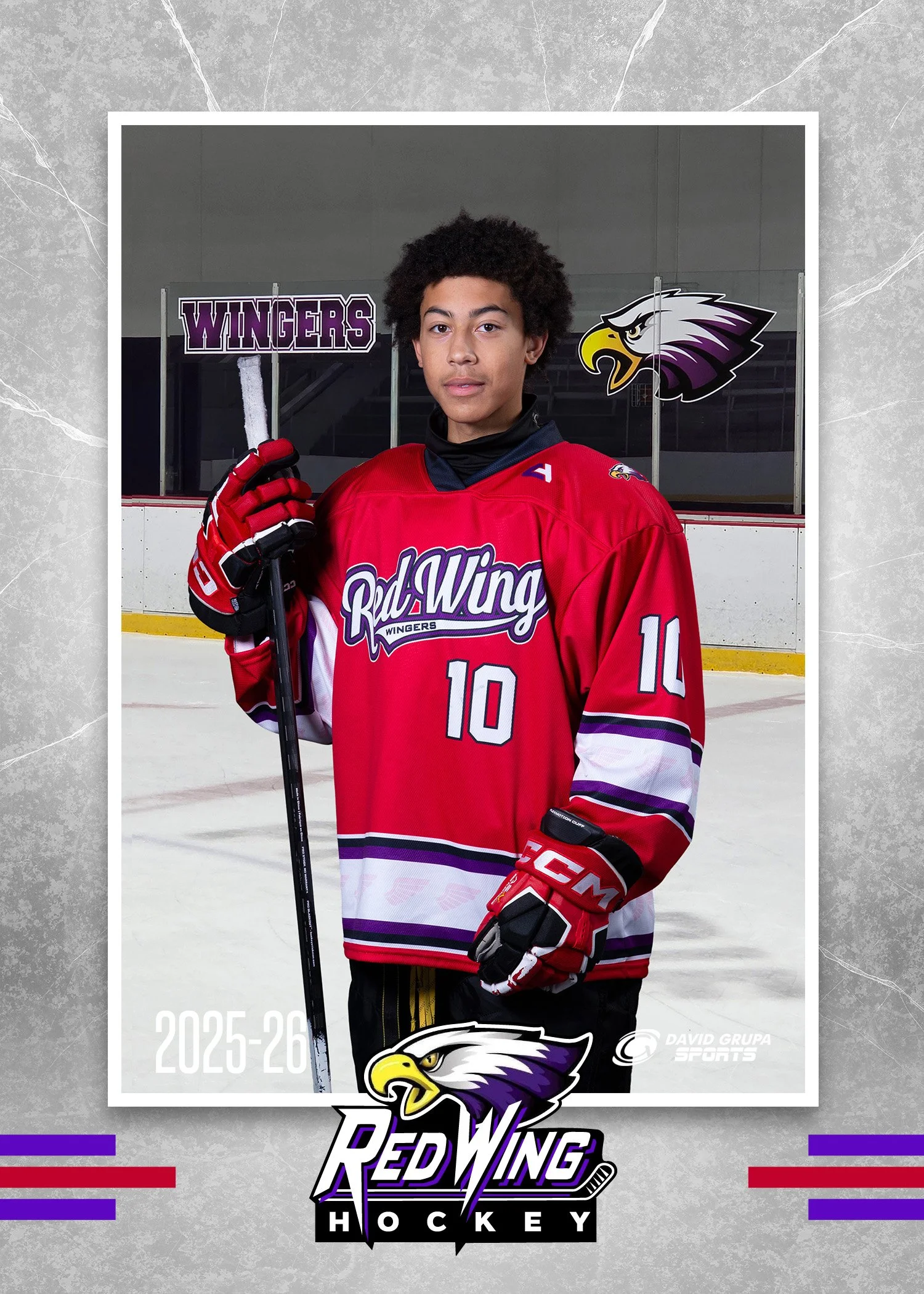 Red Wing Hockey - David Grupa Sports