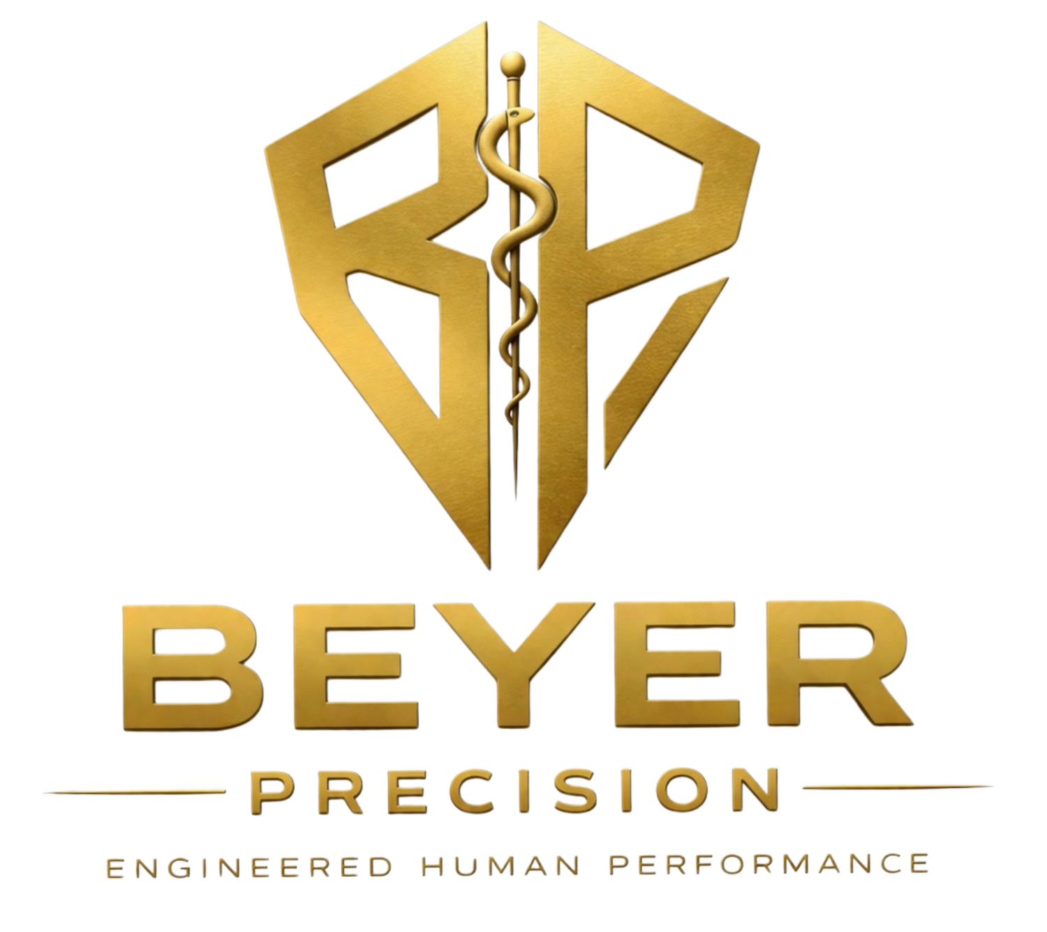 Beyer Precision Medicine and Performance