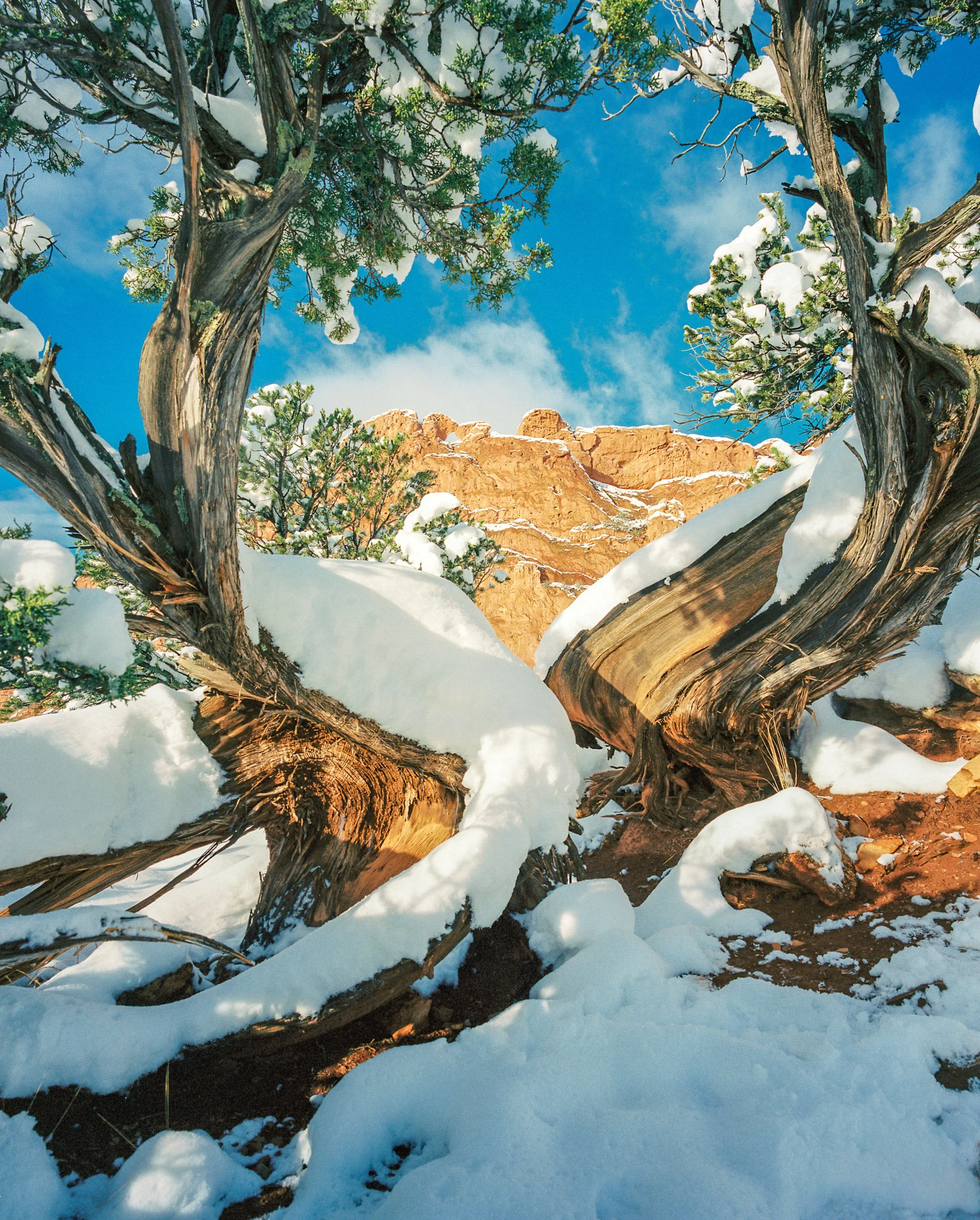 Garden of the gods .jpg