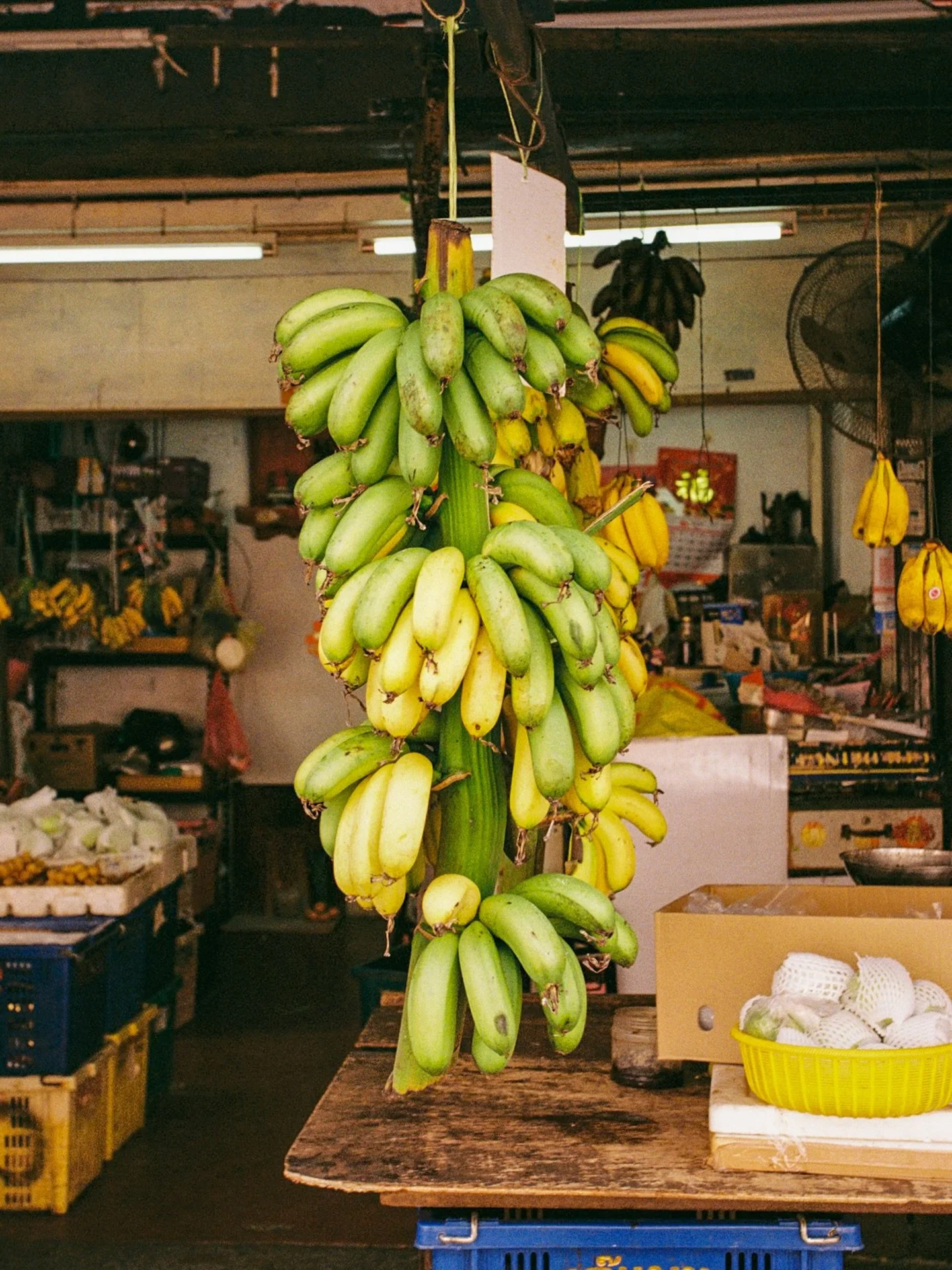 A Conversation With @shaynnar 

Tell us a little about yourself and where you&rsquo;re from.

I&rsquo;m Shaynna, born and raised in Los Angeles. I discovered film photography about six years ago. My work is focused on travel, interiors and I&rsquo;m 