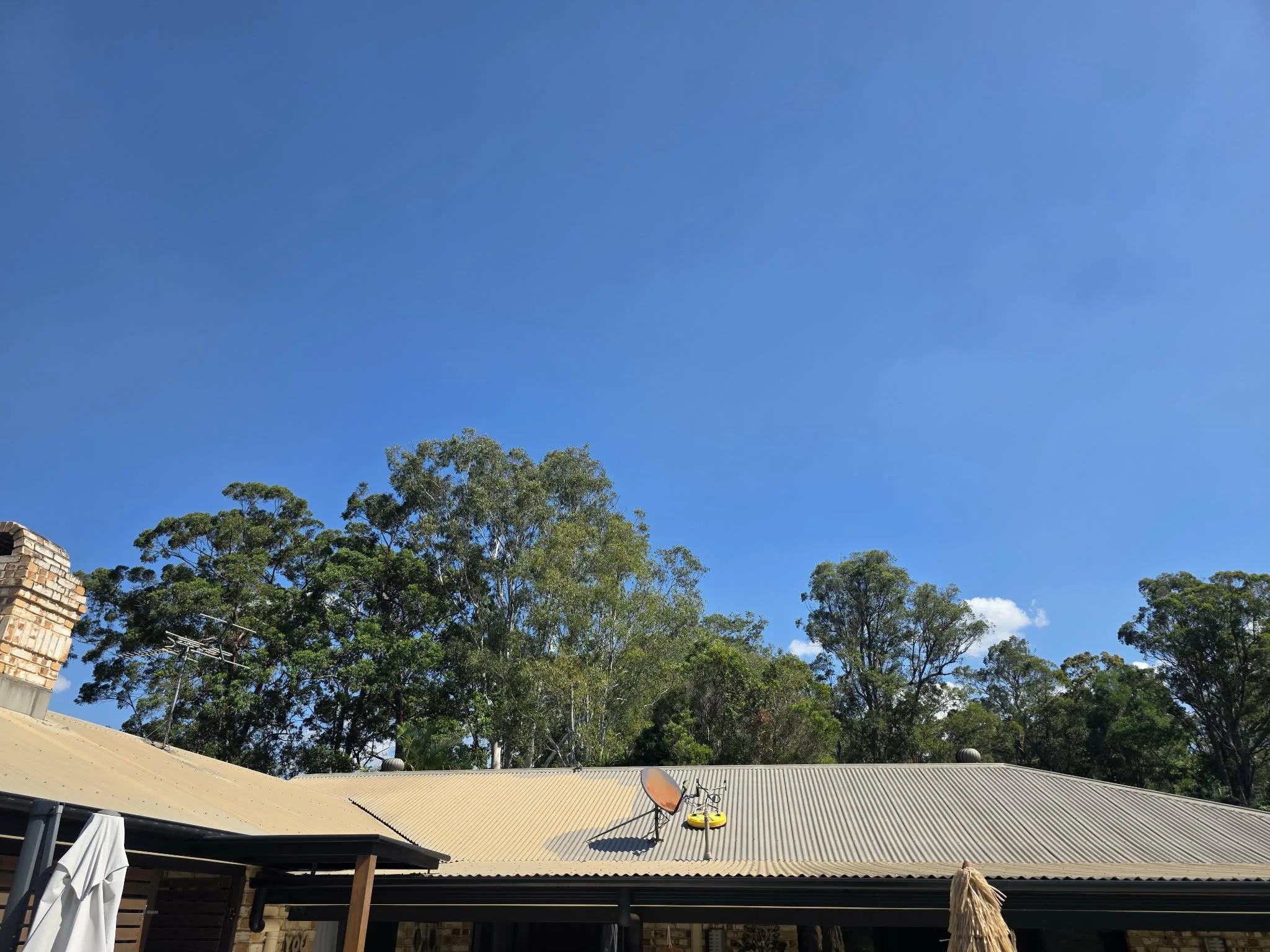 View of a house roof with trees and a bright blue sky in the background.