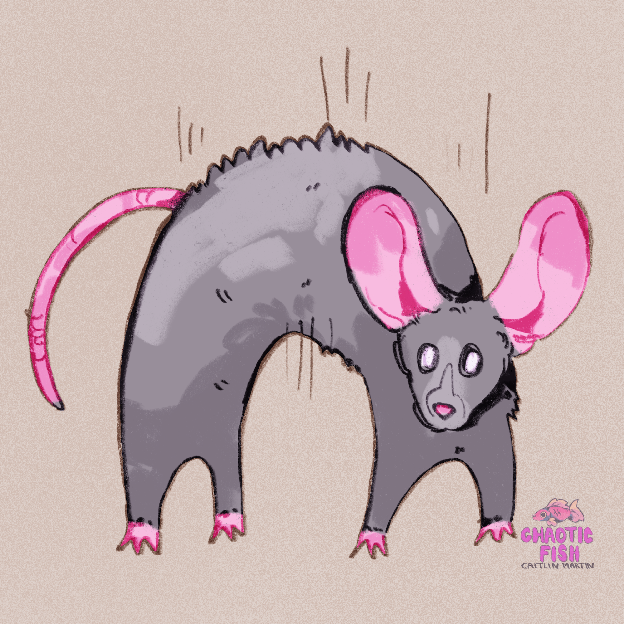 Skittish_21 2 copy.png