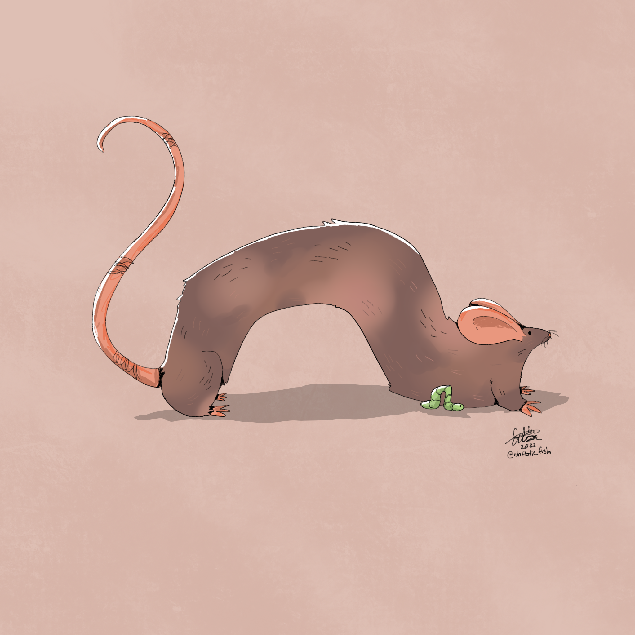 stretchy_rat 2.PNG