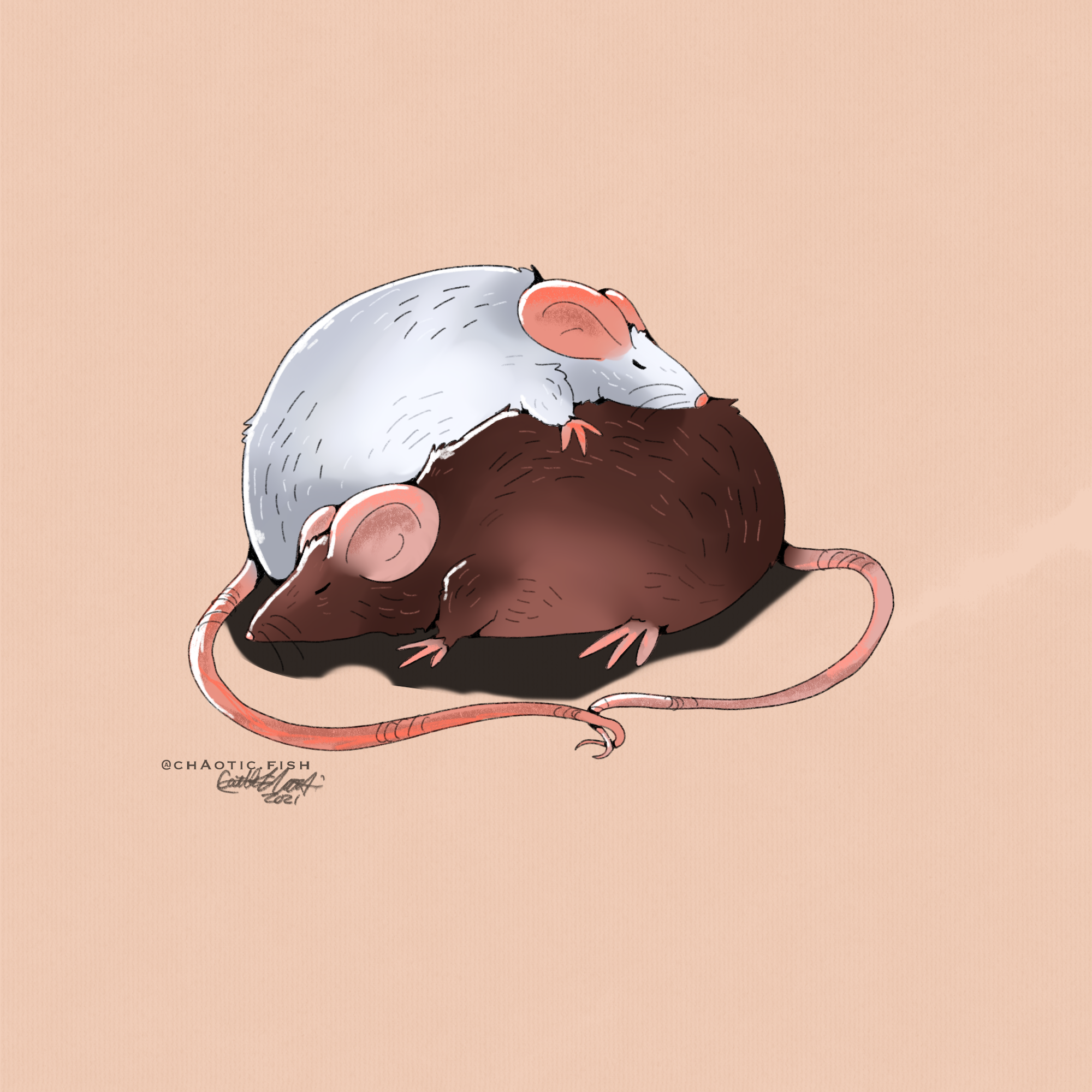 bonded_rats_XIV copy.png