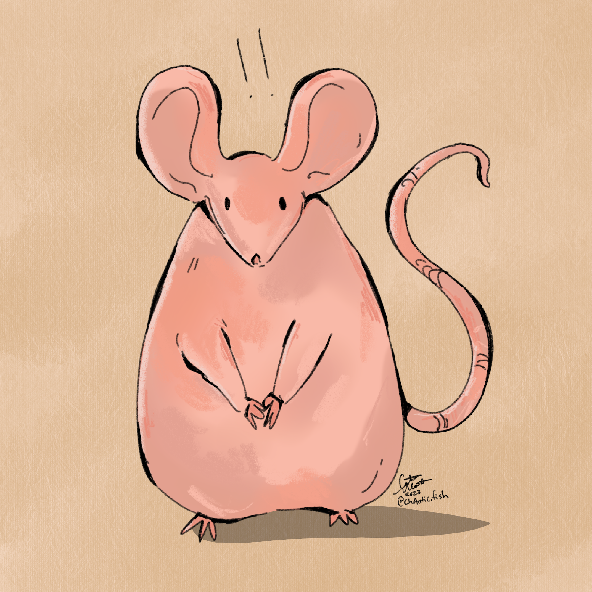 Nakie_Rat.png